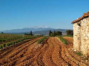 Caves et terroir