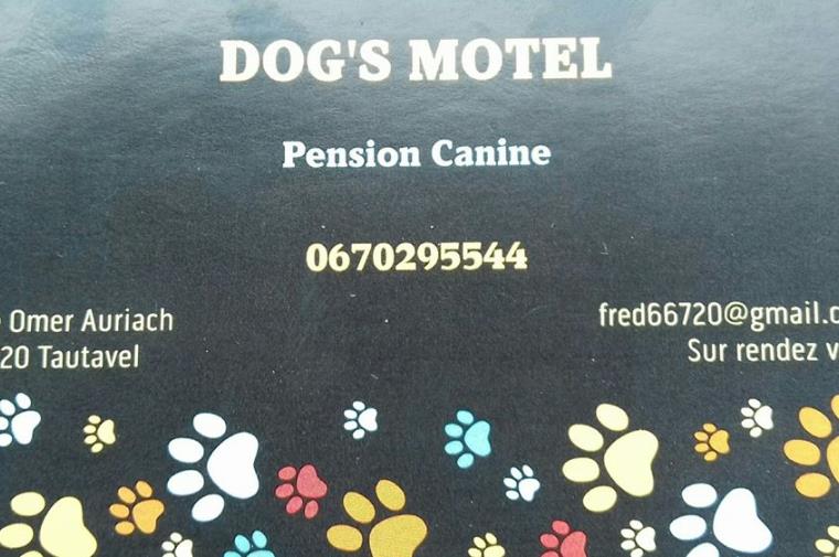 57118200 dog's motel