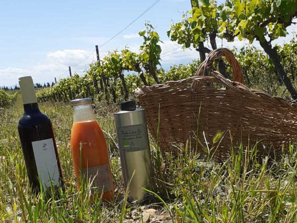 Visite et dégustation au domaine pagnon
