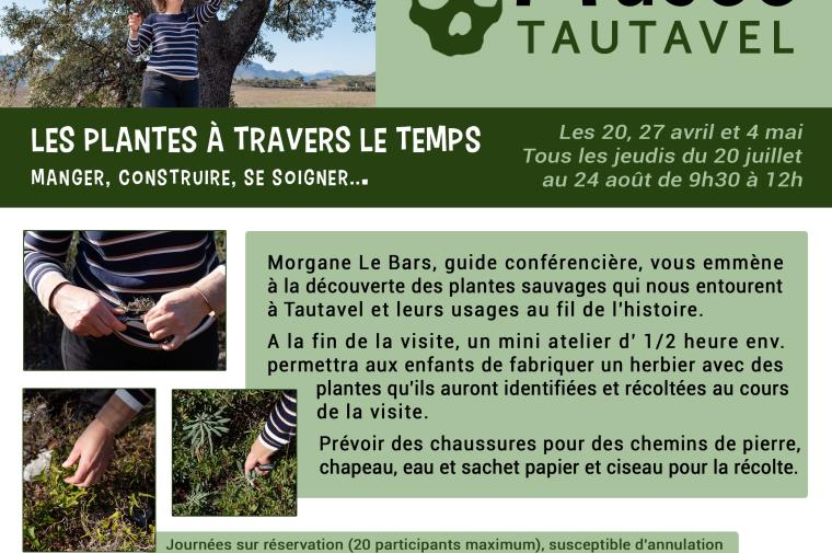 Affiche visite plantes copie EPCC TAUTAVEL Denis DAINAT