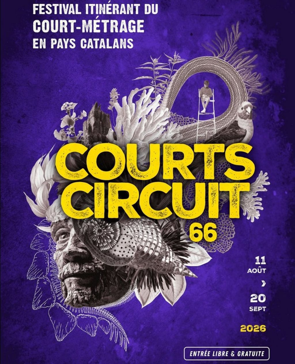 Festival courts-circuit 66 et concert de san severino