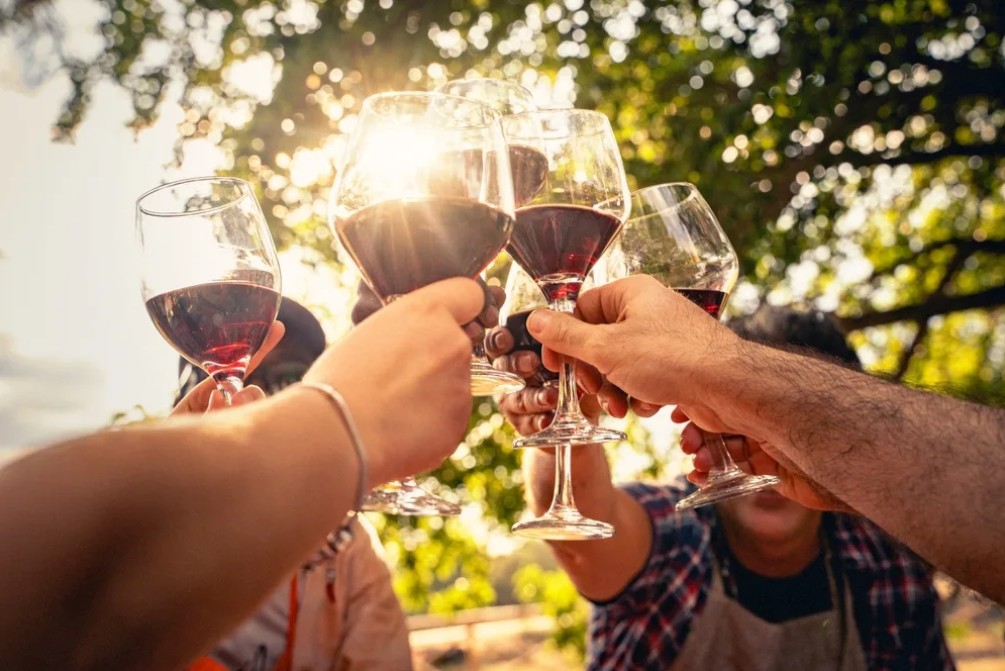 Dégustation vigneronne avec le domaine brunet