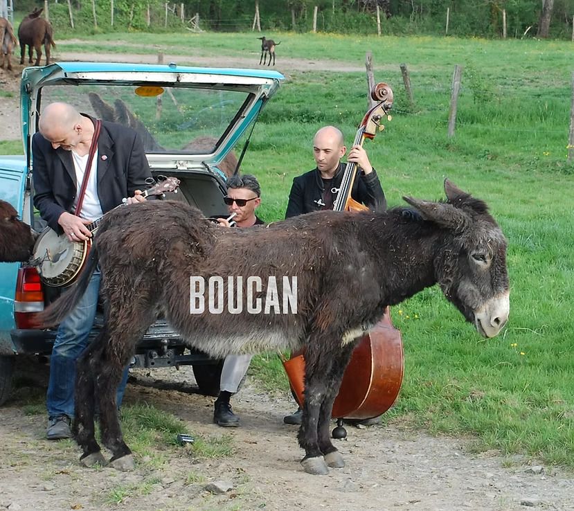 Concert de l’ete au parc guilhem