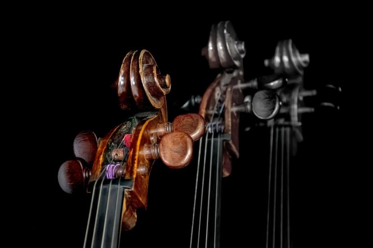 Orchestre par Ri Butov de Pixabay