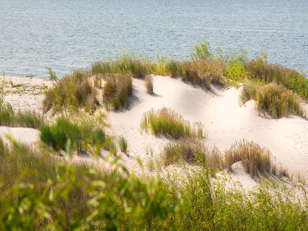 Le monde de la dune