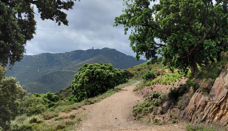 05-balade-vtt-collioure