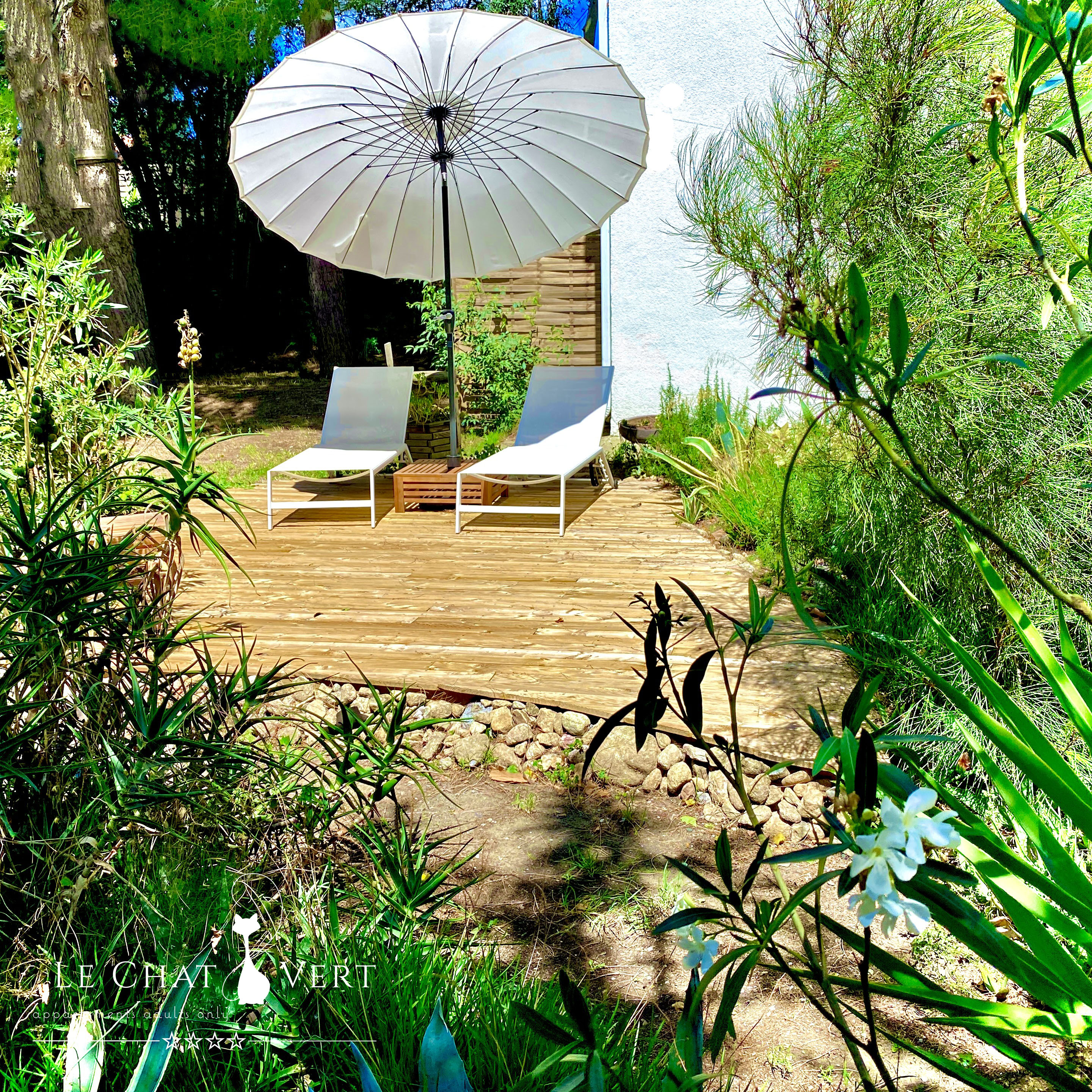 LE CHAT VERT, Saint-André - photo 11