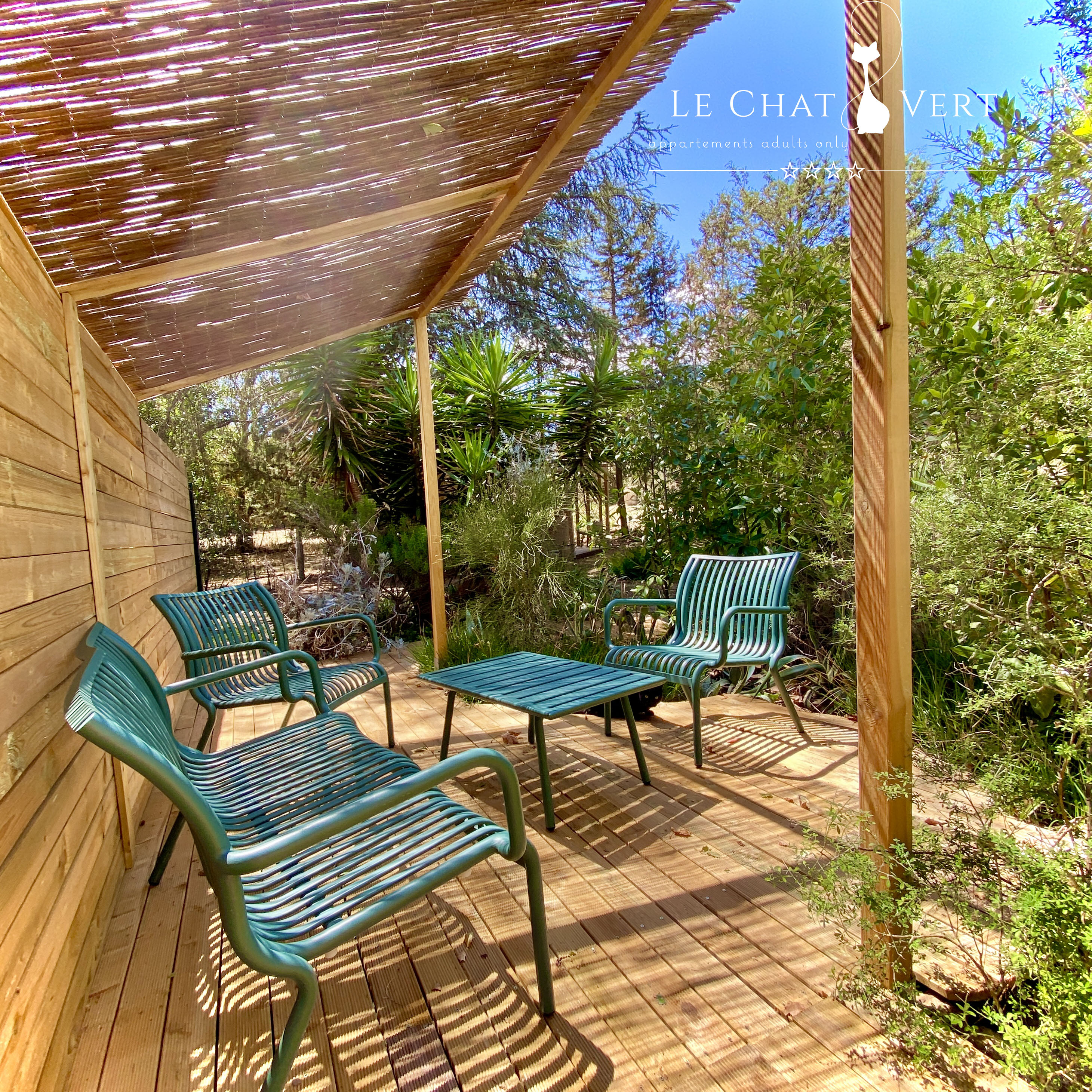 LE CHAT VERT, Saint-André - photo 17