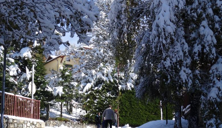 10_chemin-piétonnier_Terrasse-des-sorbiers-au-soleil-neige_Font Romeu_changez-d-altitude_DSC08161