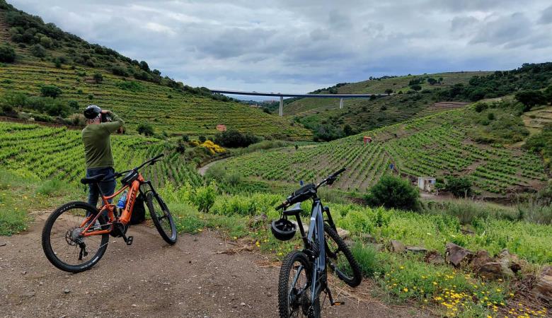 10-oenotourisme-VTT-electrique-collioure