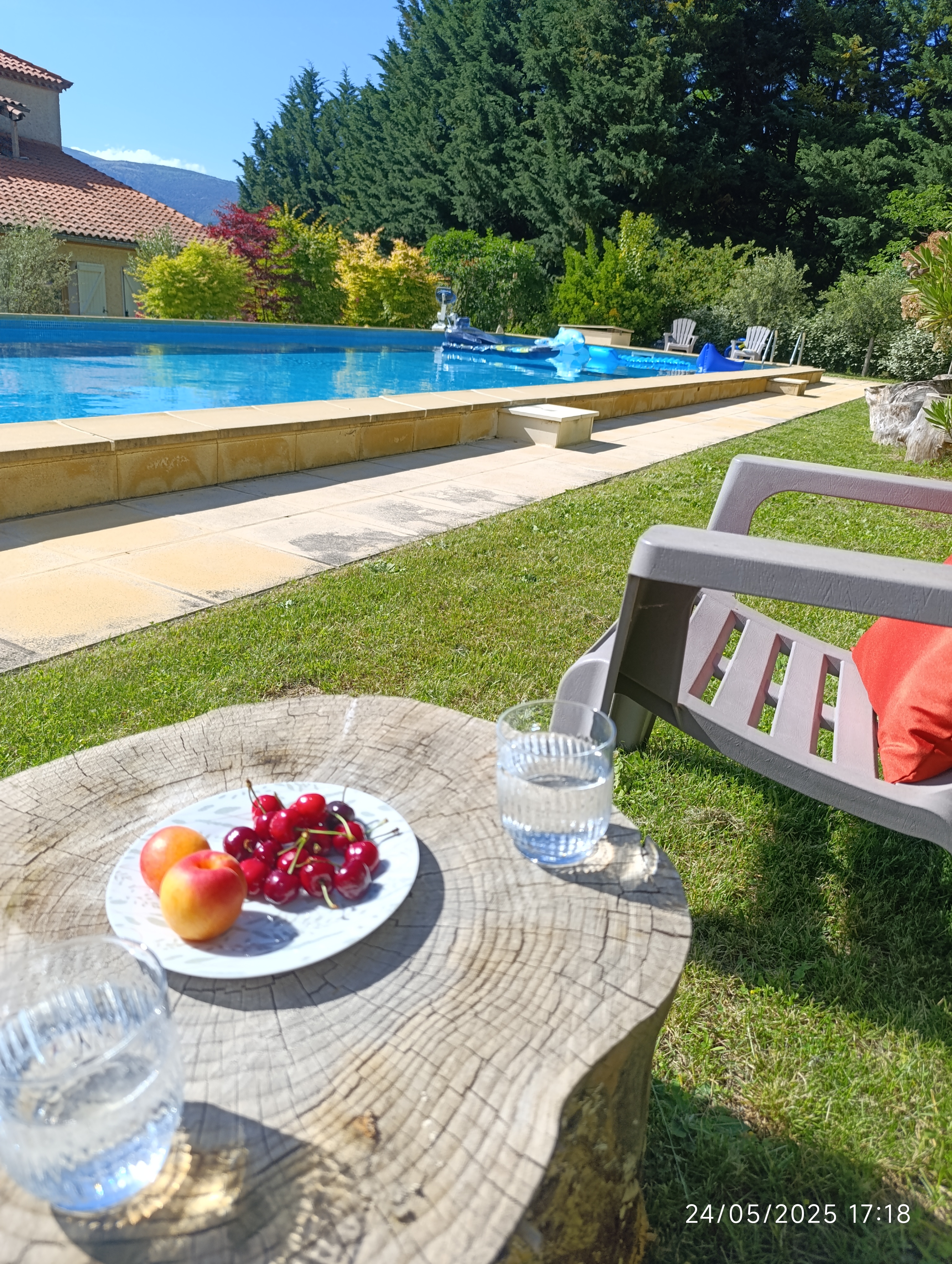 MÉLODIE DU CANIGOU - TILLEUL