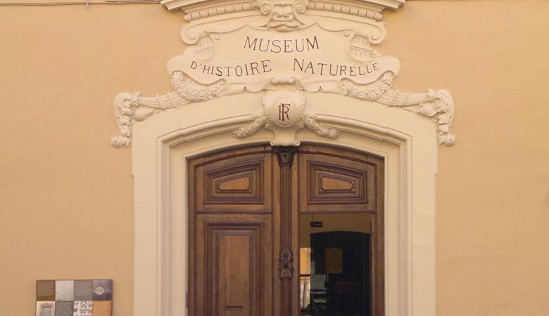 Muséum d'histoire naturelle