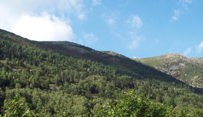 Vallée du Campcardos 3