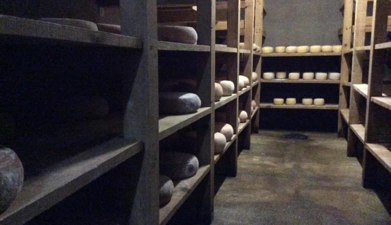 10150747_653907747980126_2088463441_n 10150747_653907747980126_2088463441_n