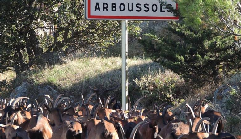 10380305_610864169010742_7089965893162121112_n