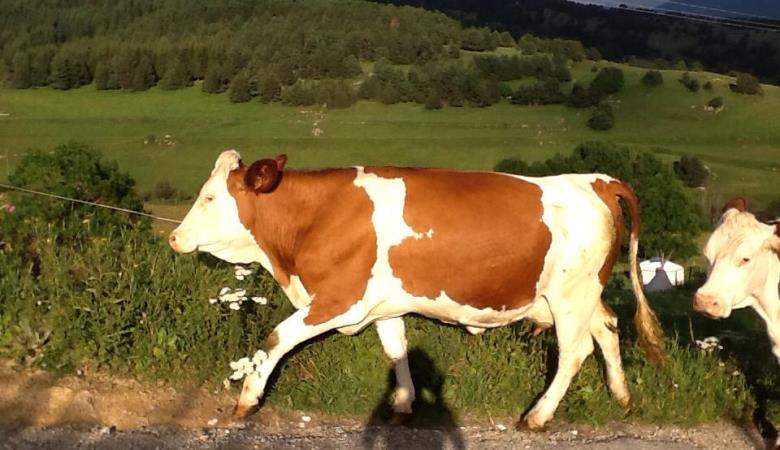 10570354_439574192851820_3003857709423162550_n 10570354_439574192851820_3003857709423162550_n