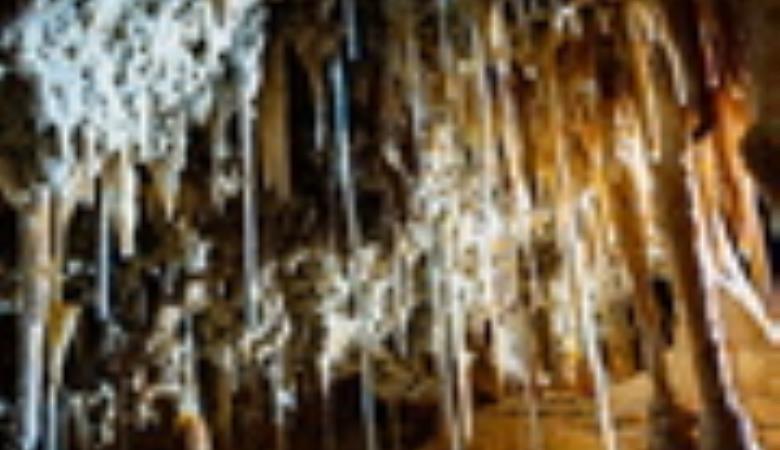 10713_00045-grotte de Fontrabiouse - Fontrabiouse-photo aspheries_120x120