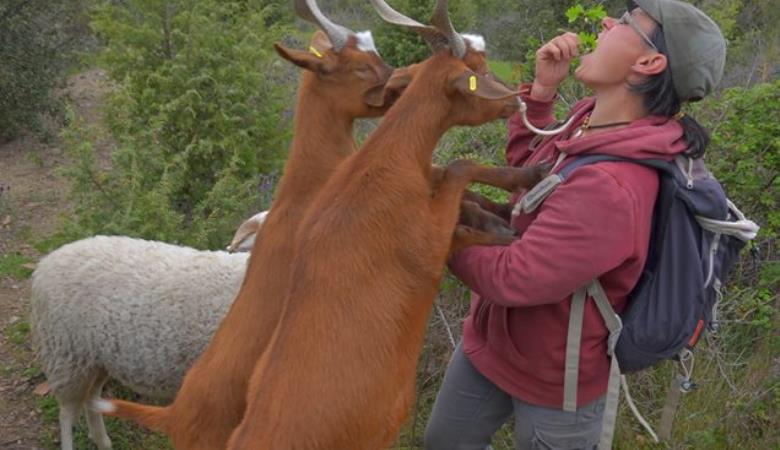 11241222_10206732208124670_1439057678303875238_n