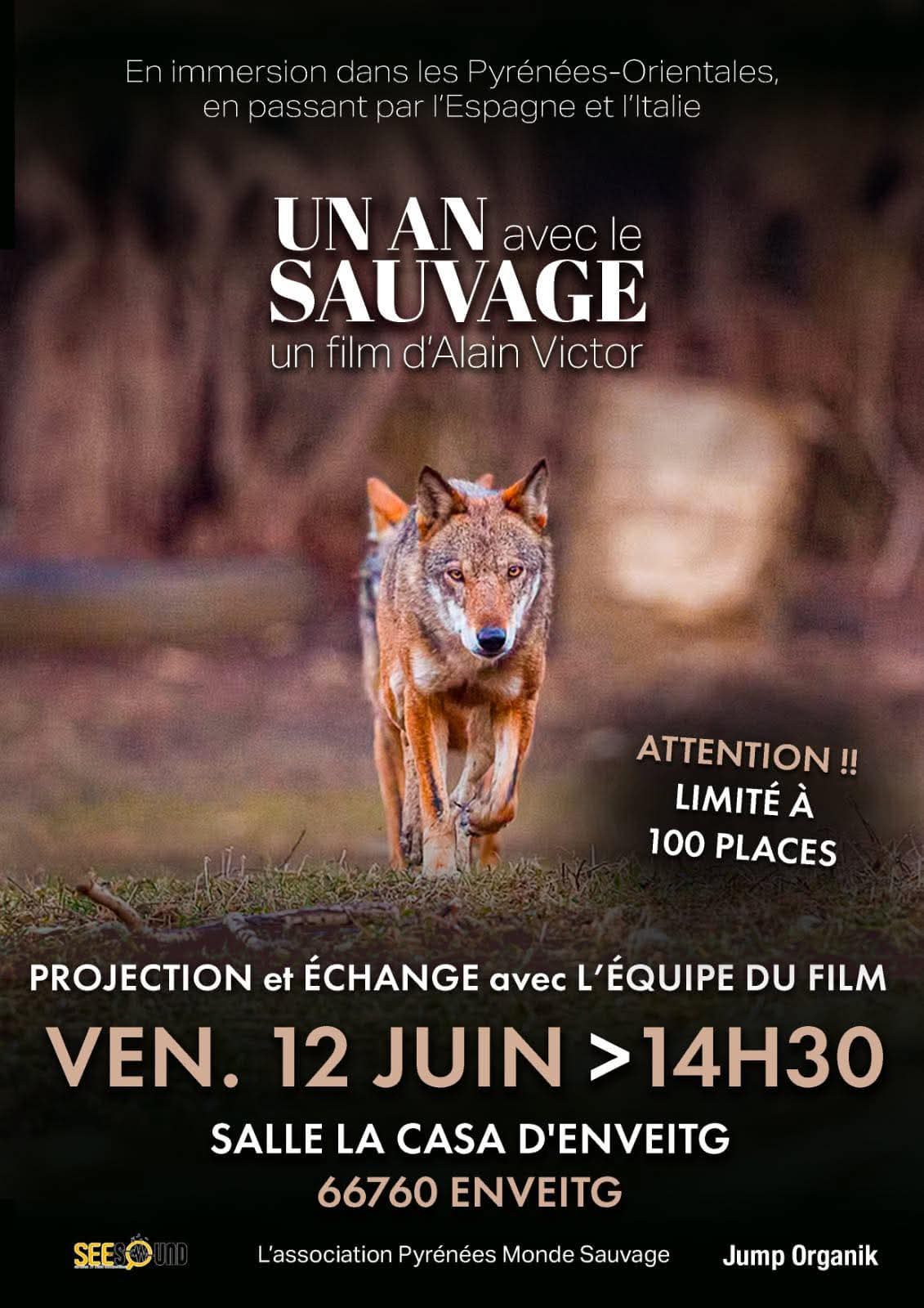 FILM « 1 AN AVEC LE SAUVAGE » D&rsquo;ALAIN VICTOR