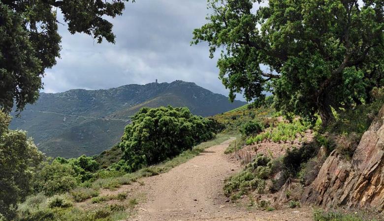 13-oenotourisme-VTT-electrique-collioure