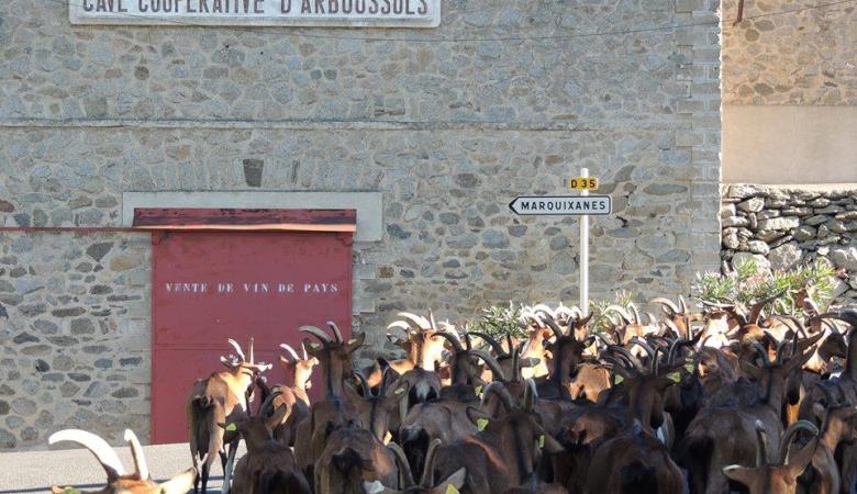 1525562_537830719647421_1945362649_n