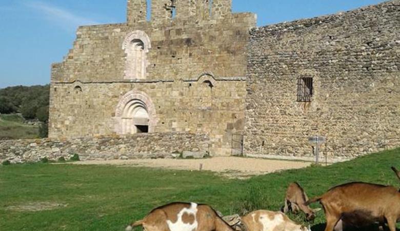 17352163_1585840441444777_959918570819084988_n