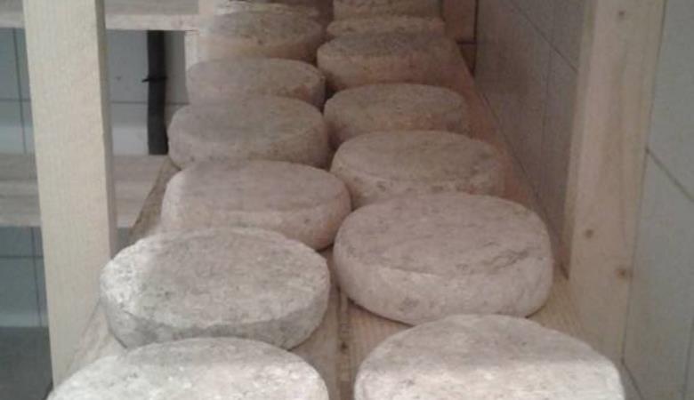 17903999_1620206581341496_409785692288823038_n