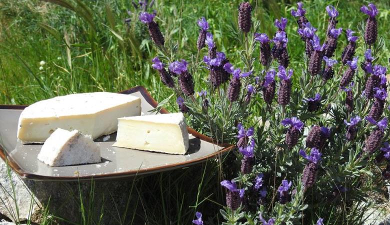 18011133_1622771434418344_8977995037840890223_n