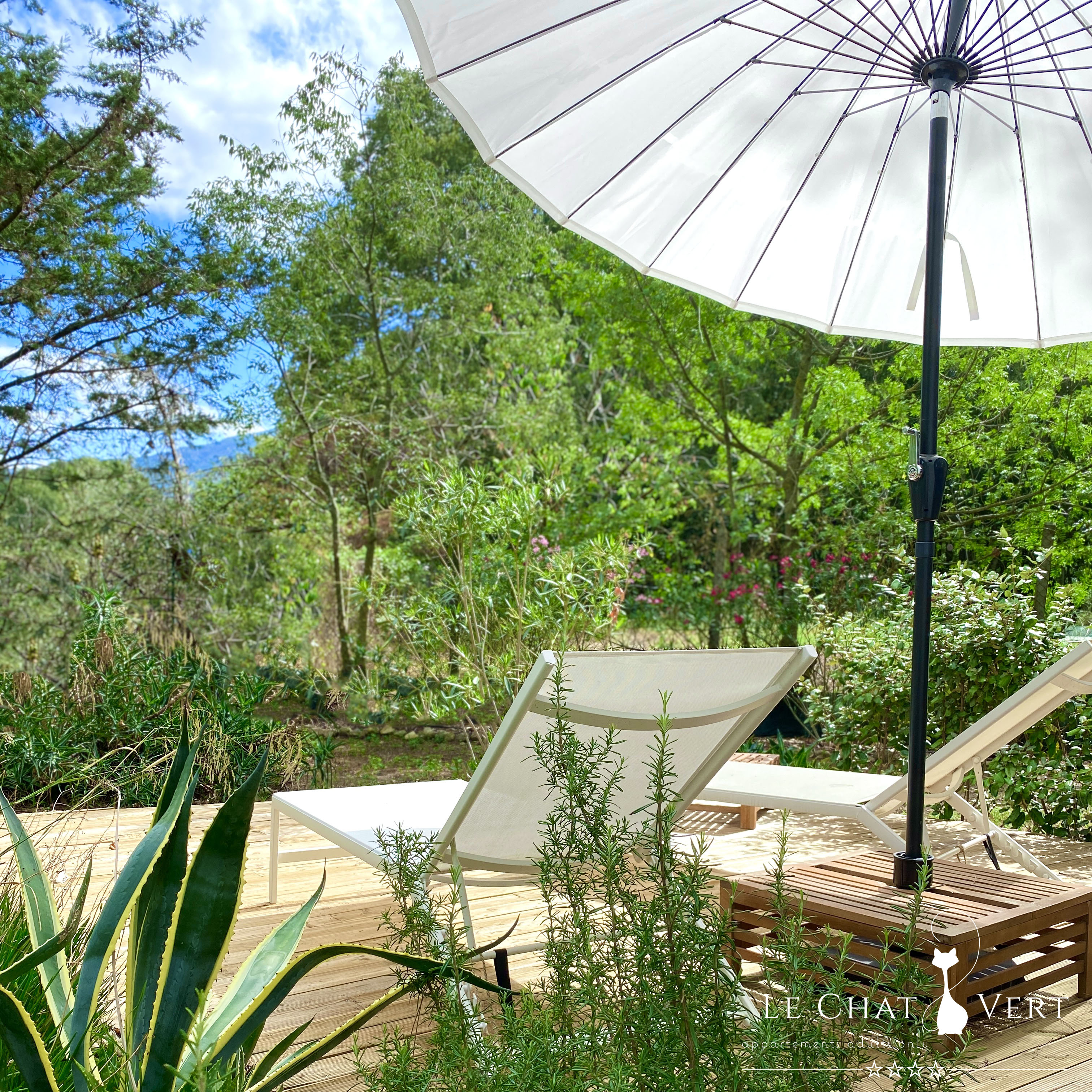 LE CHAT VERT, Saint-André - photo 21