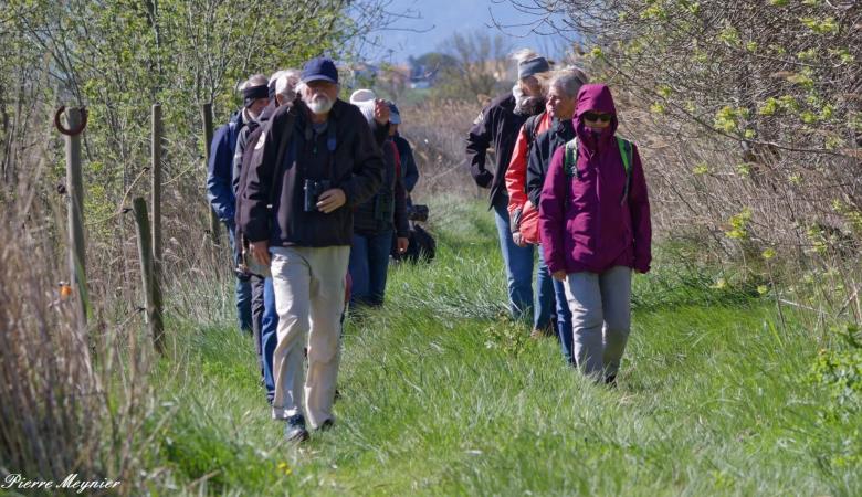 2-balade-naturaliste