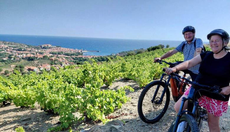 2-oenotourisme-VTT-electrique-collioure