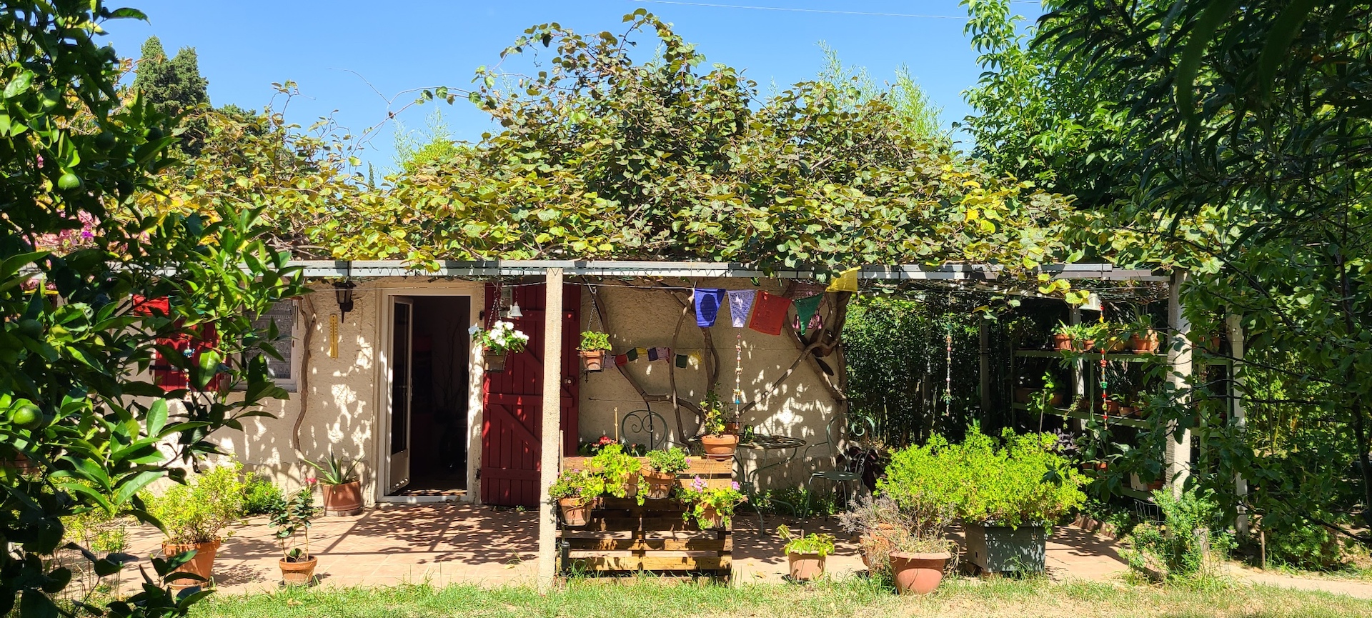 SOIZEN : MASSAGES ET ATELIER CUISINE AYURVÉDIQUE, YOGA