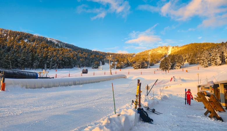 20241213_082908 20241213_082908