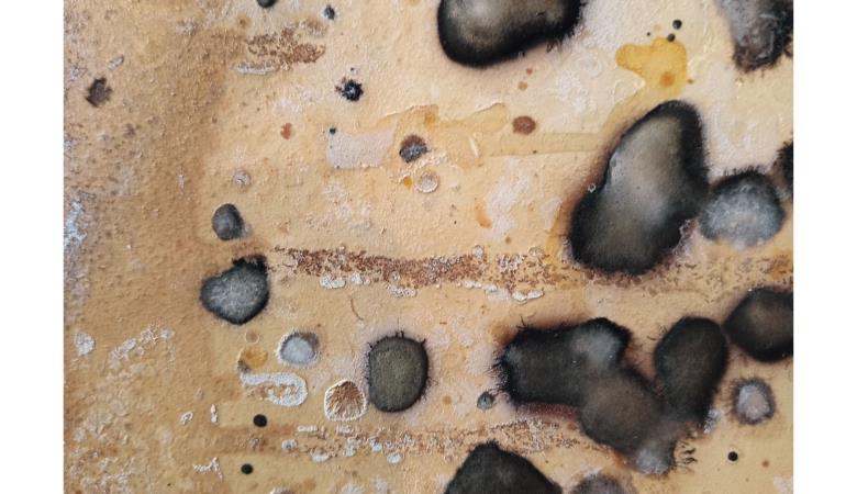 2025-08-21-Exposition du château Jérôme.Gelès.CRC_page-0001