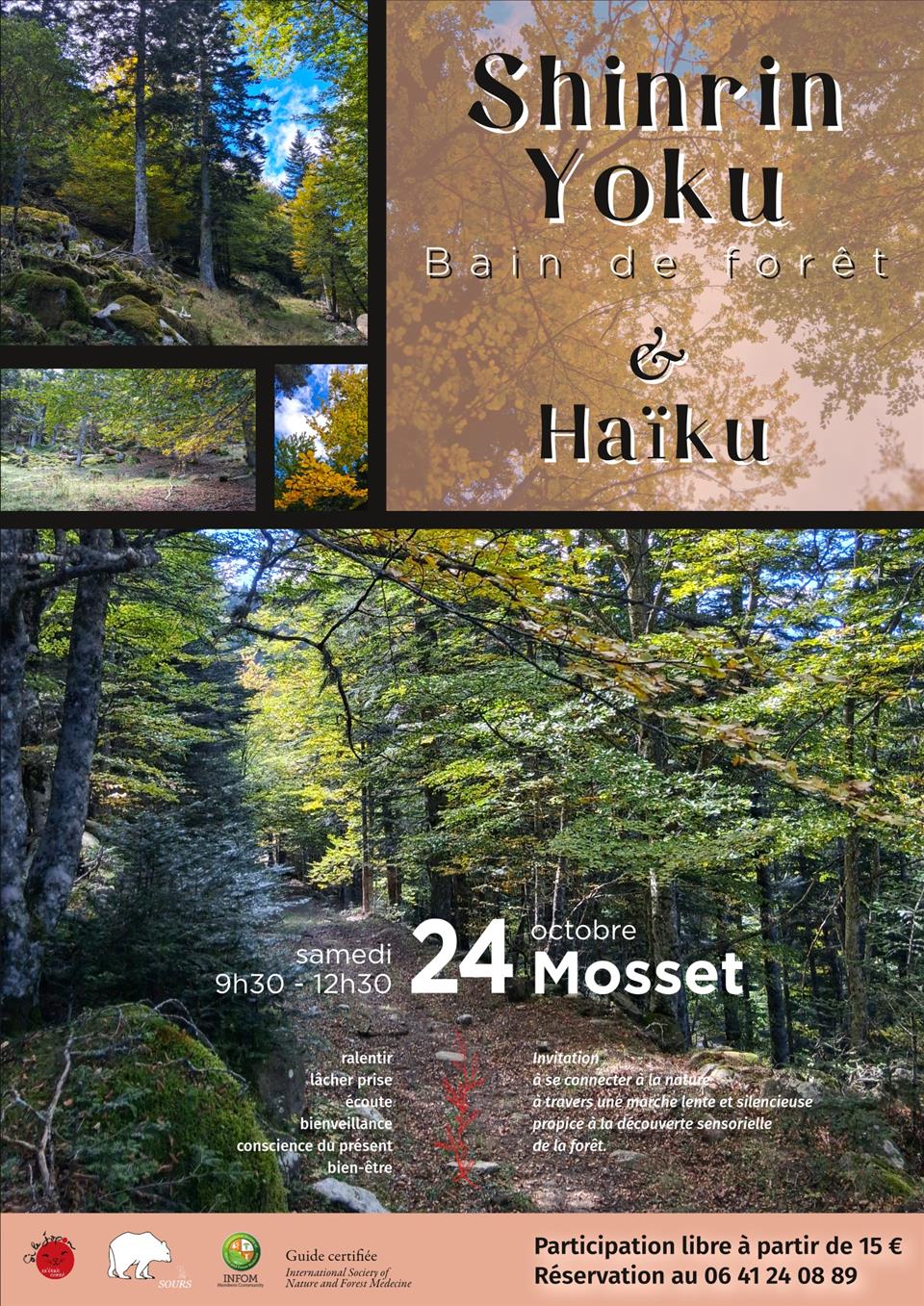 Shinrin yoku: Bain de forêt à Mosset