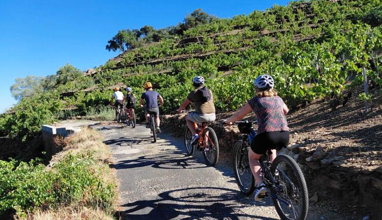 3-oenotourisme-VTT-electrique-collioure