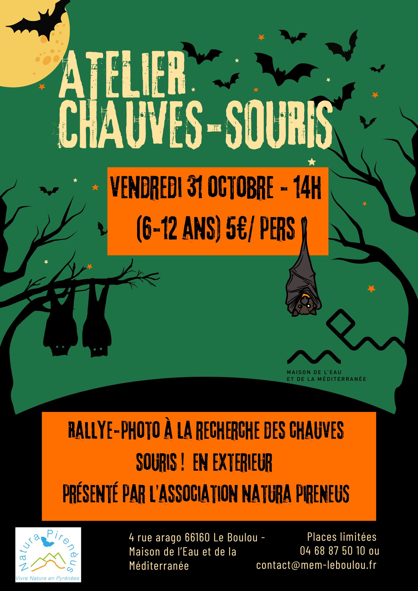 ATELIER CHAUVES SOURIS 6-12 ANS