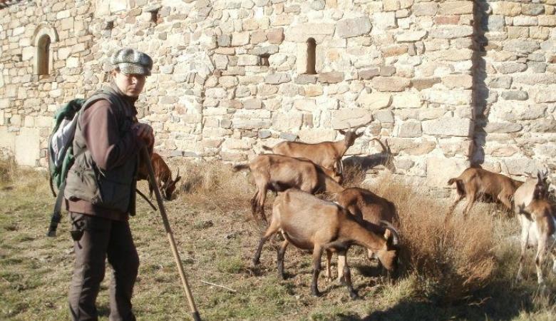 403880_231164740298082_541623171_n