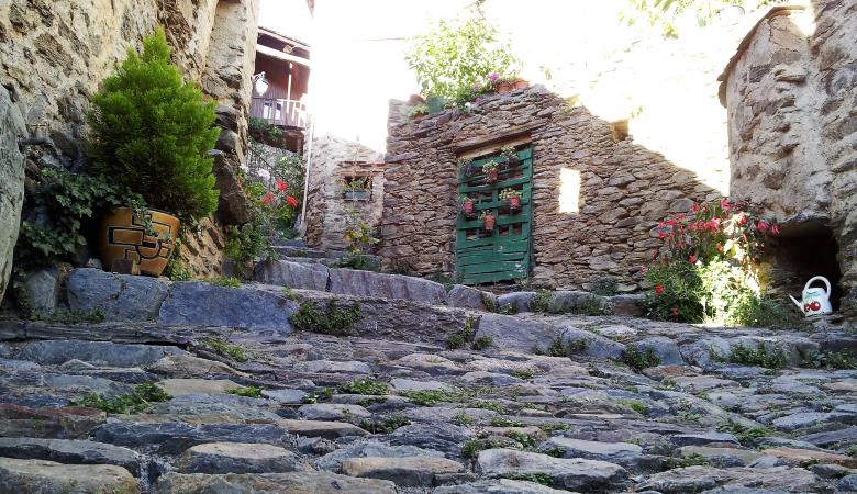 46549399885_96029d656b_o