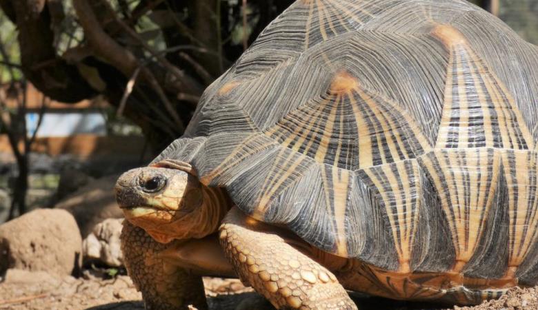 477144724_8809502159161757_1894579014293550753_n