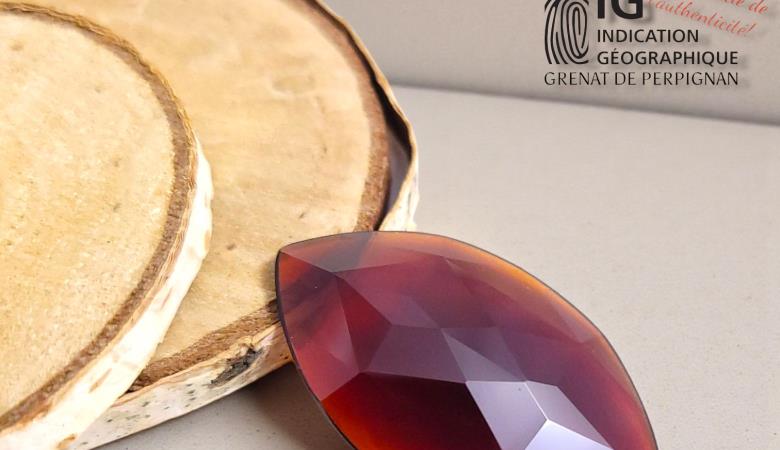 587494420_4265832410326136_4737052204089840086_n