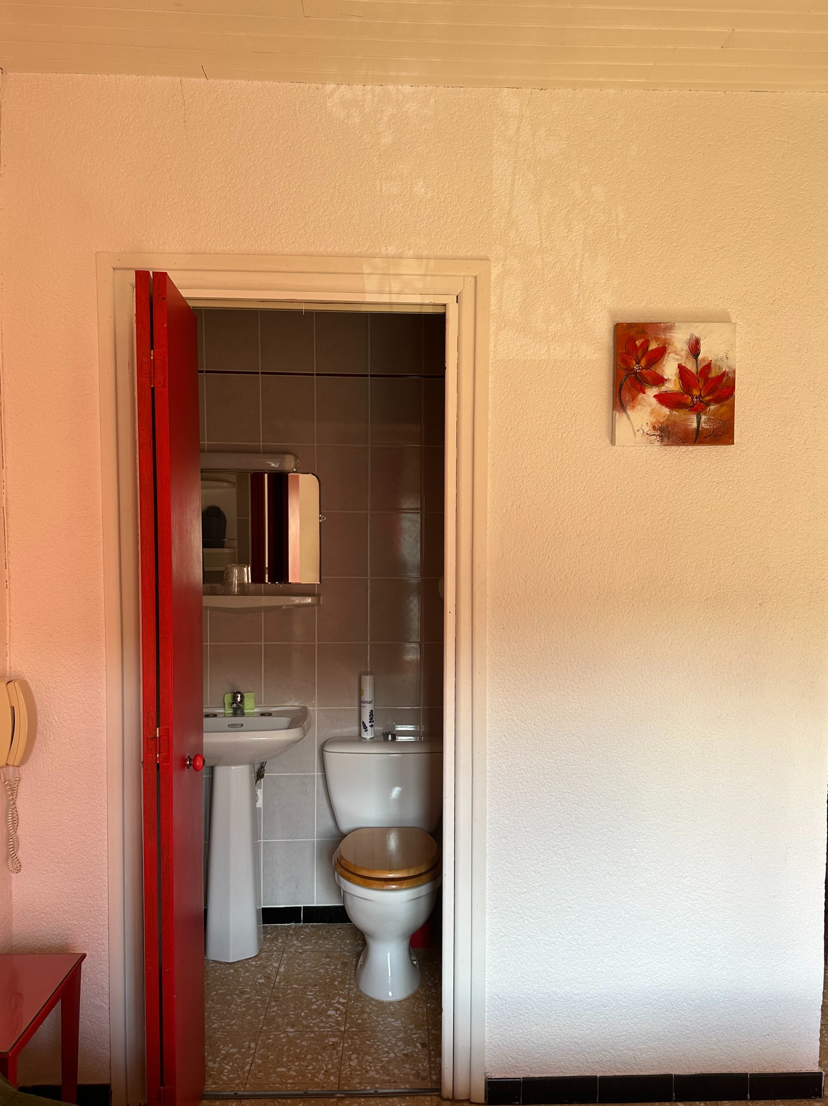 RÉSIDENCE L'OASIS - APPARTEMENT N°17, Molitg-les-Bains - photo 6