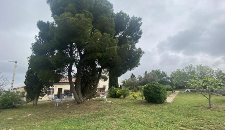 Le yucca_18