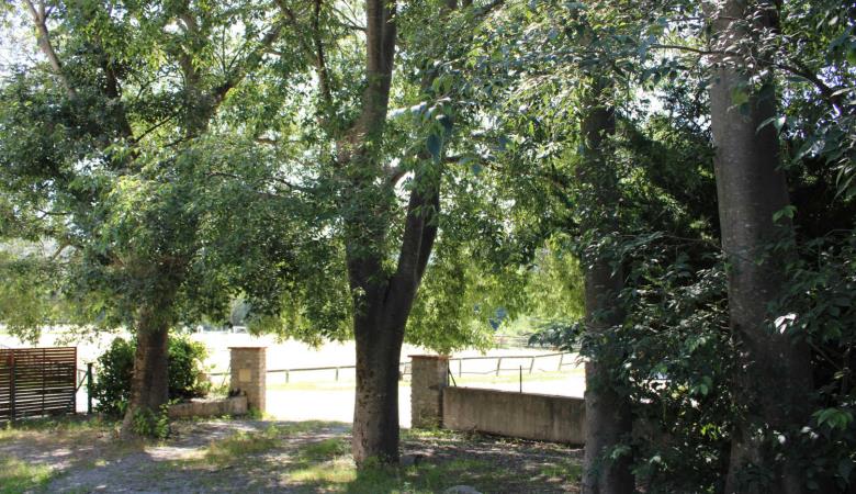 le cerisier_16