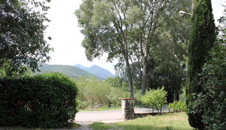 le cerisier_3