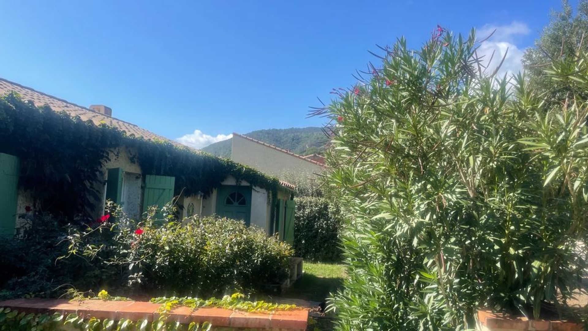 AMÉLIE, Amélie-les-Bains-Palalda - photo 62