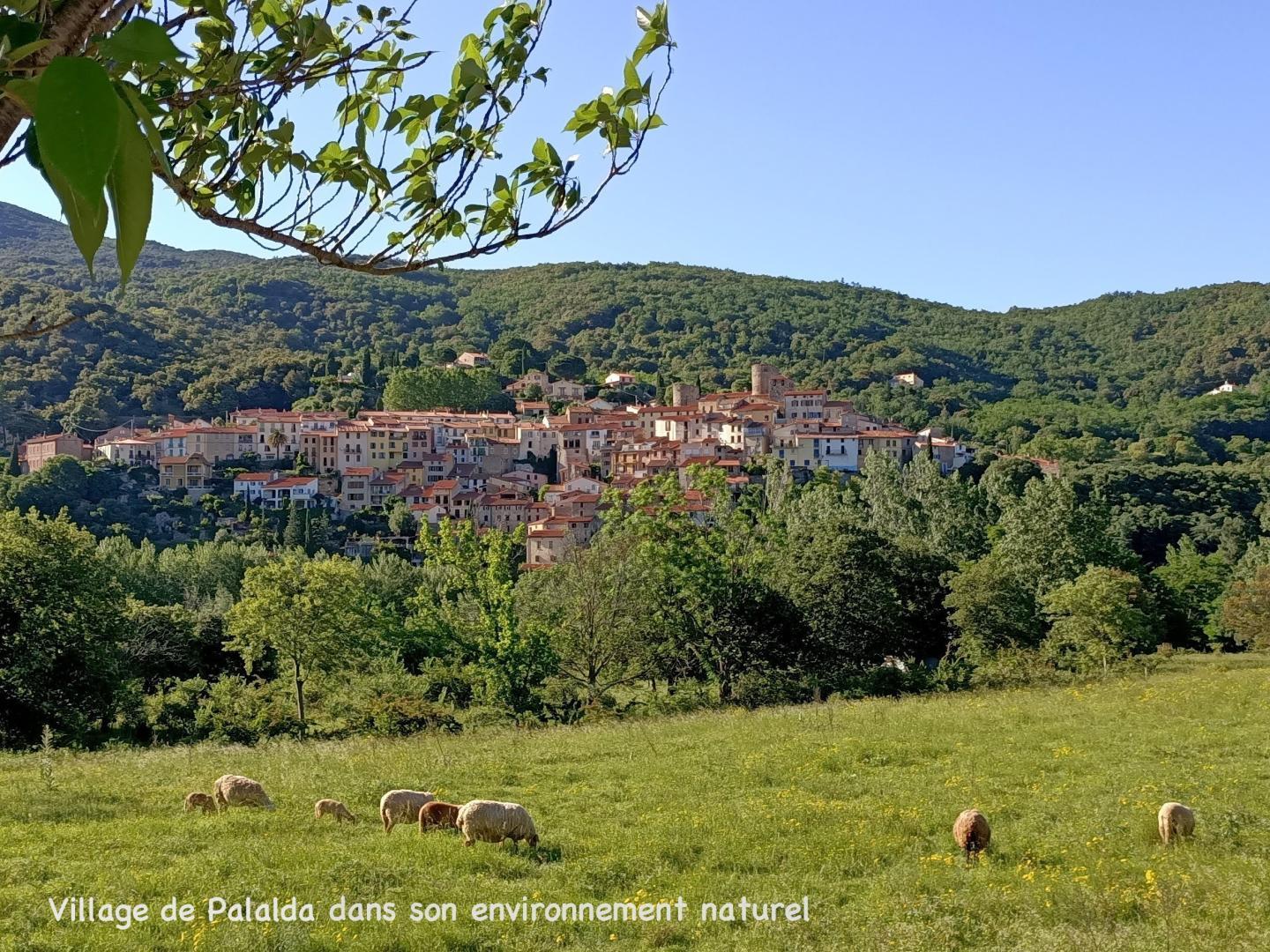 CHEZ SUZANNE - APPARTEMENT CANIGOU, Amélie-les-Bains-Palalda - photo 63