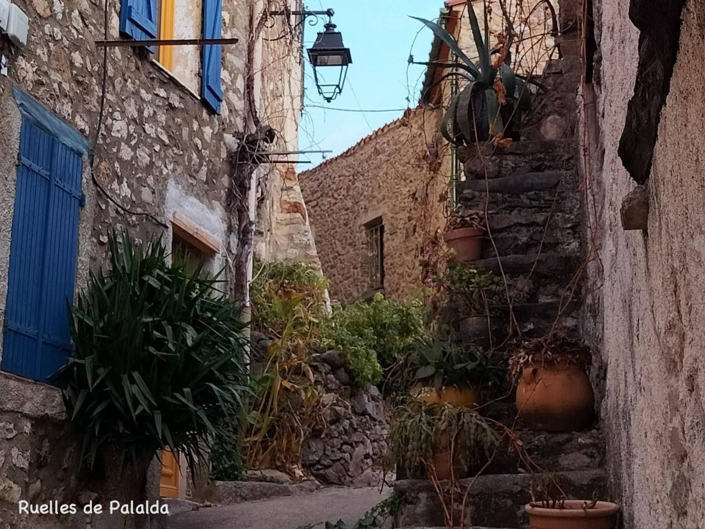 CHEZ SUZANNE - APPARTEMENT CANIGOU, Amélie-les-Bains-Palalda - photo 51