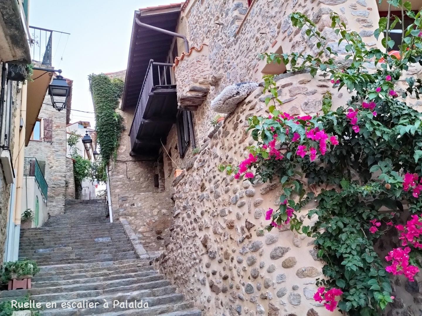 CHEZ SUZANNE - APPARTEMENT CANIGOU, Amélie-les-Bains-Palalda - photo 43