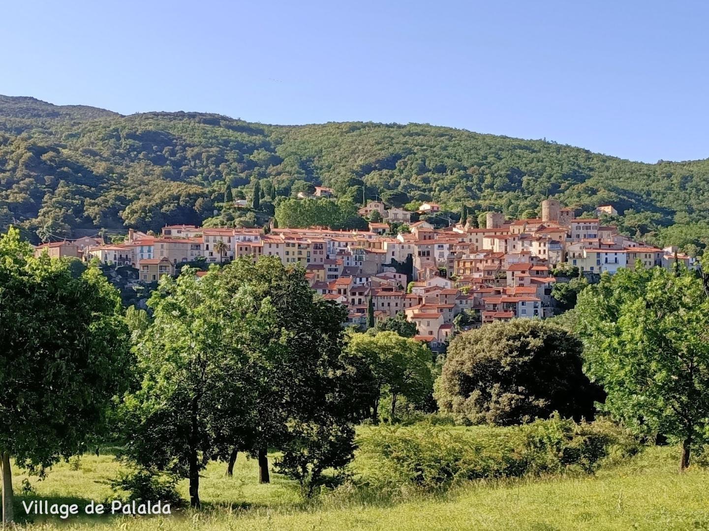 CHEZ SUZANNE - APPARTEMENT CANIGOU, Amélie-les-Bains-Palalda - photo 65